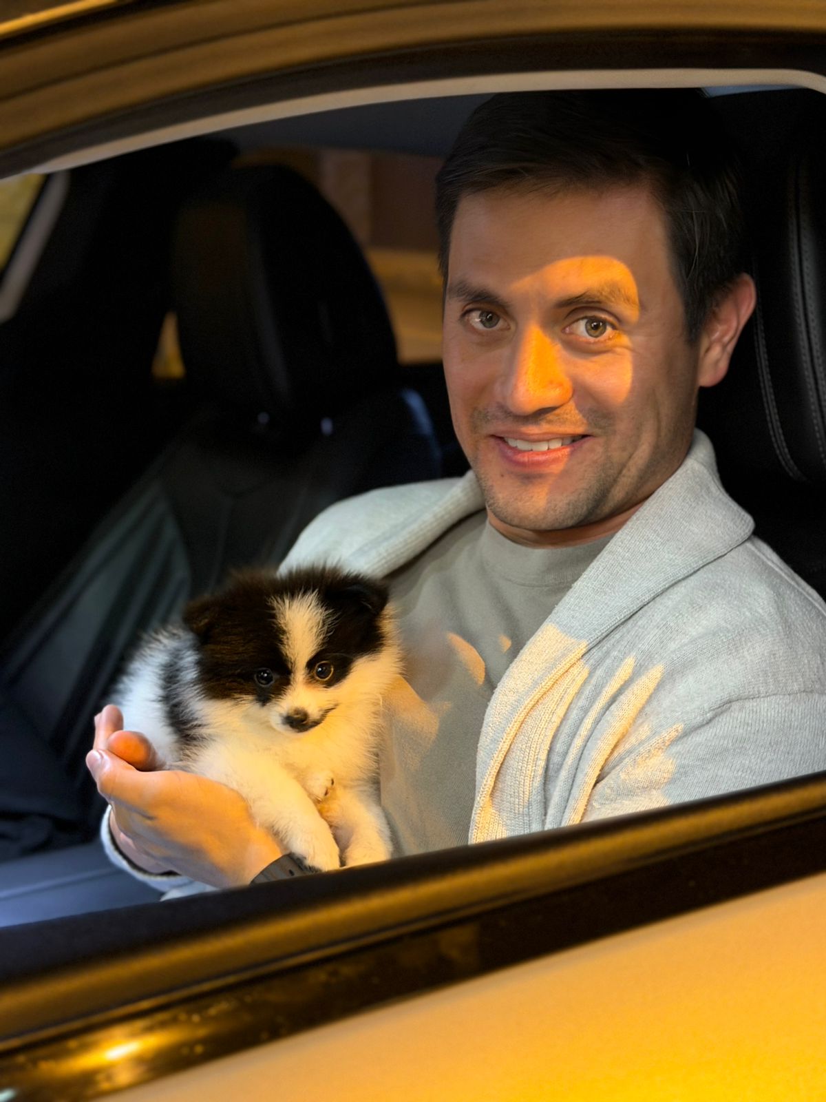 Peluquería canina
