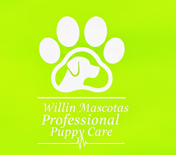 Willin Mascotas